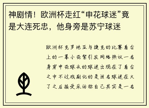 神剧情！欧洲杯走红“申花球迷”竟是大连死忠，他身旁是苏宁球迷